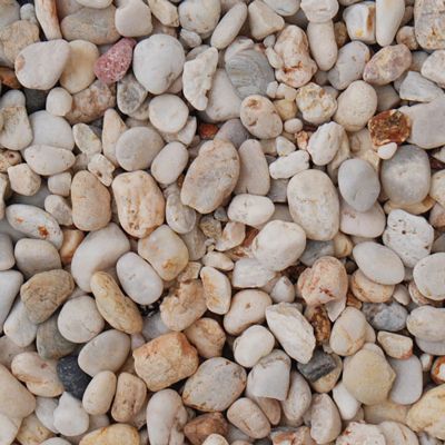 Apricot Chippings  image