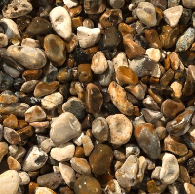 Oyster Pebbles  image